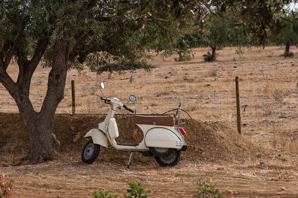 Pensjonat Pensao Agricola Cabanas De Tavira Zewnętrze zdjęcie