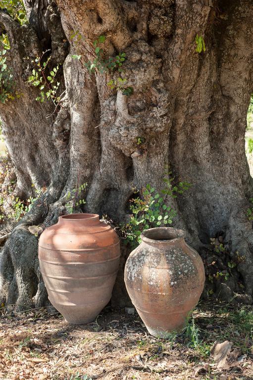 Pensjonat Pensao Agricola Cabanas De Tavira Zewnętrze zdjęcie