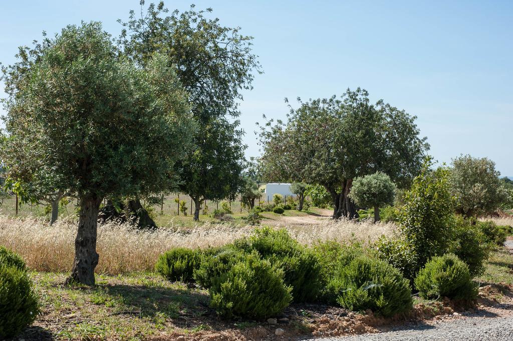 Pensjonat Pensao Agricola Cabanas De Tavira Zewnętrze zdjęcie